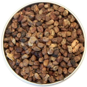 Kardamom semínka